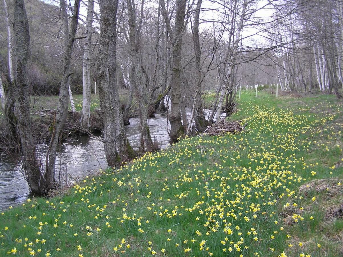 Lamadretierra Villamejil